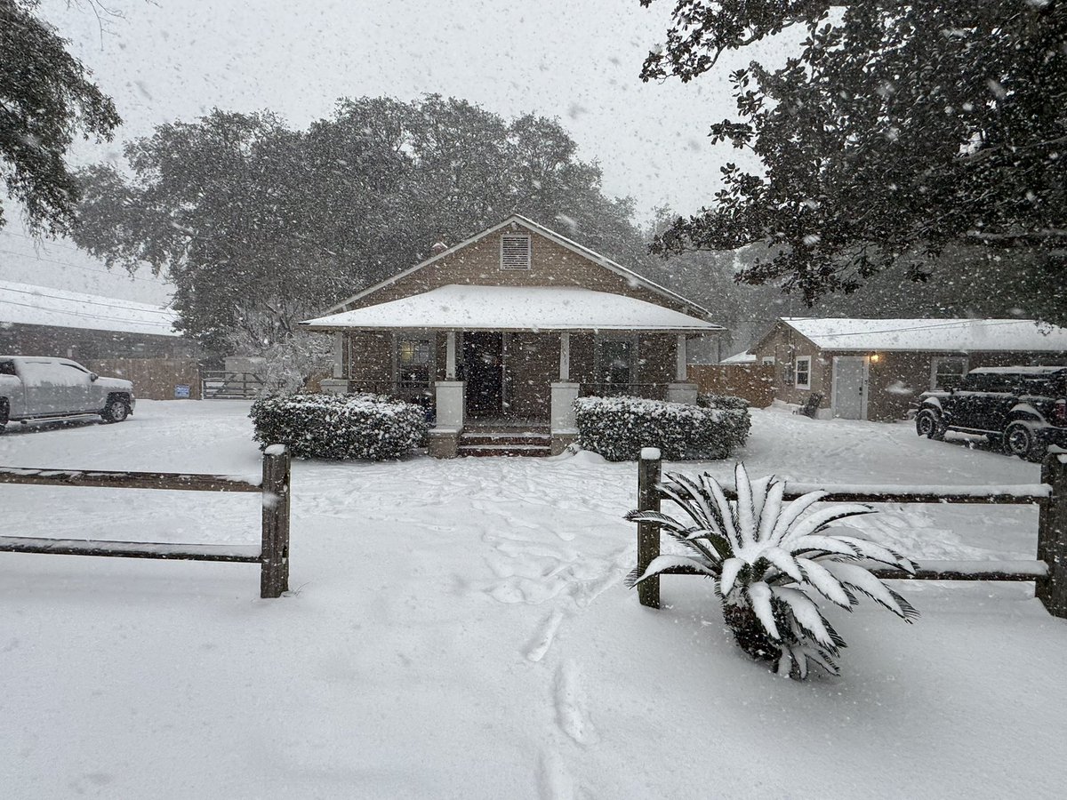 Snow day in Pensacola