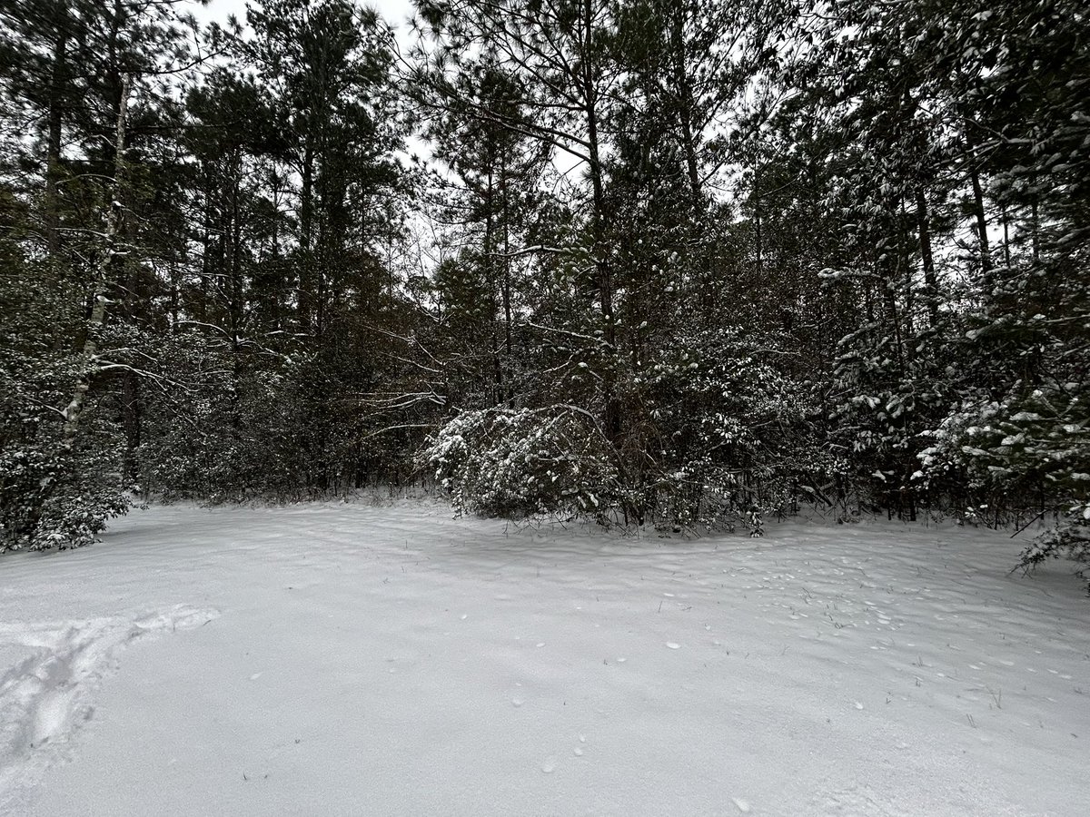 I've never seen this much snow in my entire life! ❄️🌨️☃️

#louisianasnow #snowday2025 #Louisiana