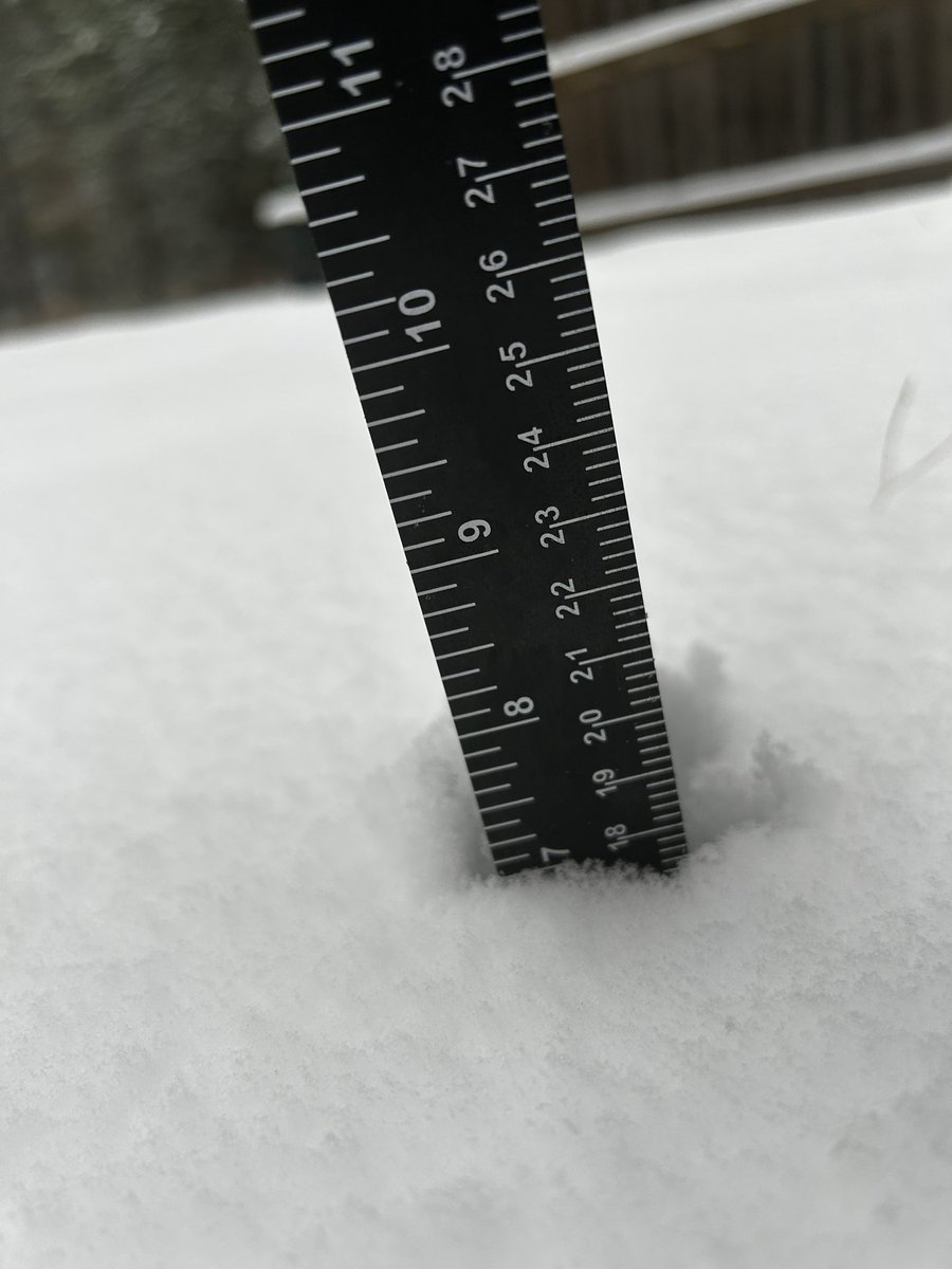 MandiRawks's tweet photo. I've never seen this much snow in my entire life! ❄️🌨️☃️

#louisianasnow #snowday2025 #Louisiana https://t.co/6DYQVkOb0O