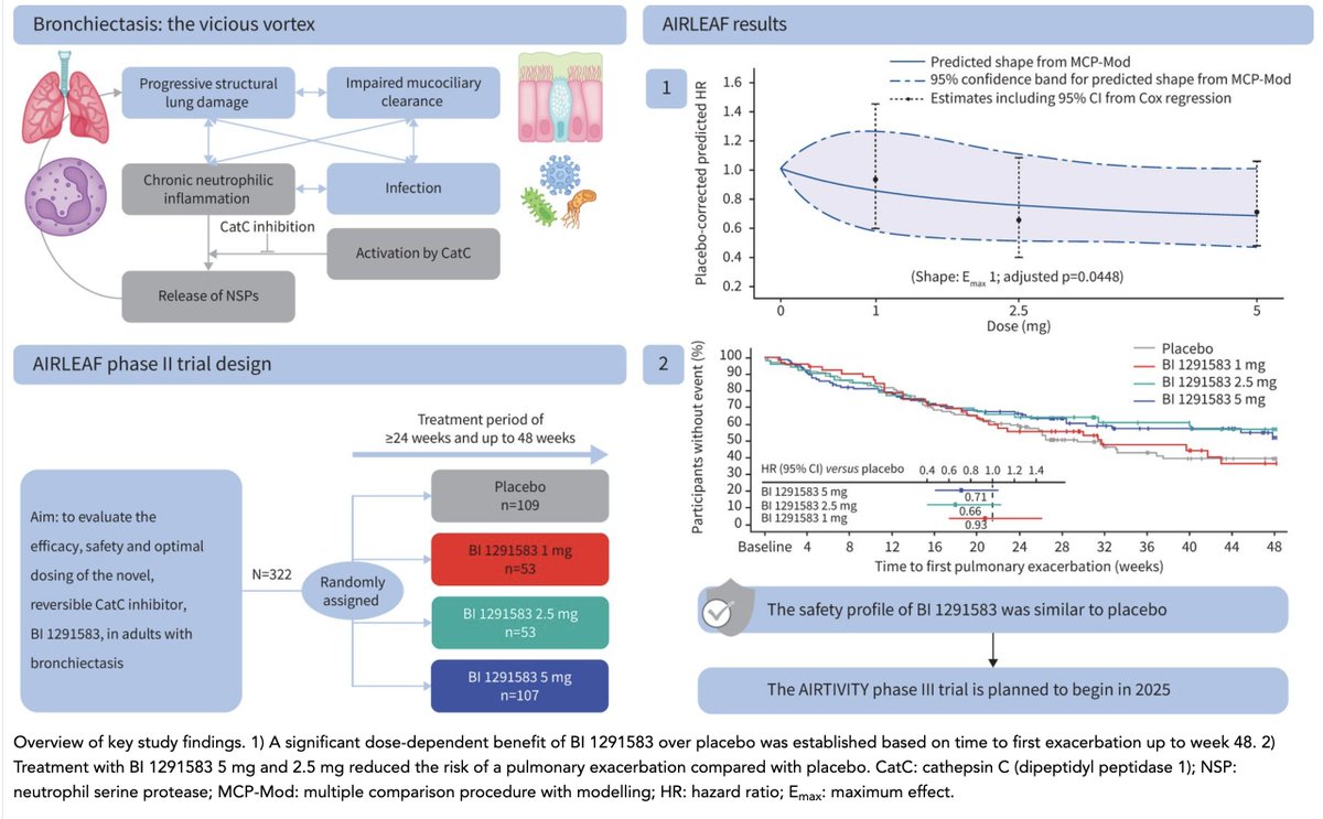 ♨️♨️♨️ Hot of the press: Cathepsin C (dipeptidyl peptidase 1) inhibition in adults with bronchiectasis: AIRLEAF, a phase II randomised, double-blind, placebo-controlled, dose-finding study publications.ersnet.org/content/erj/65… 
<a href="/ProfJDChalmers/">James D Chalmers</a> <a href="/EuroRespSoc/">ERS</a> #bronchiectasis