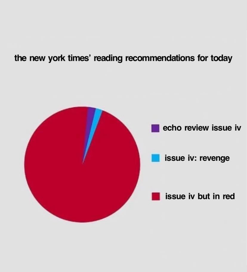 Echo Review (ISSUE VI OUT NOW) tweet media