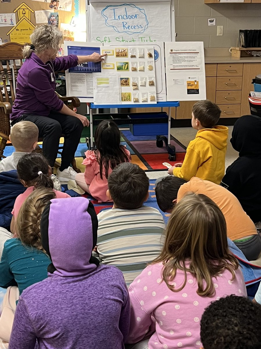 Rachel Burlison tweet media