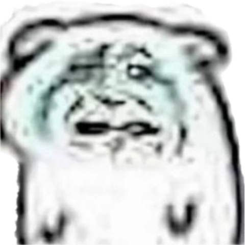 starbuddy tweet media