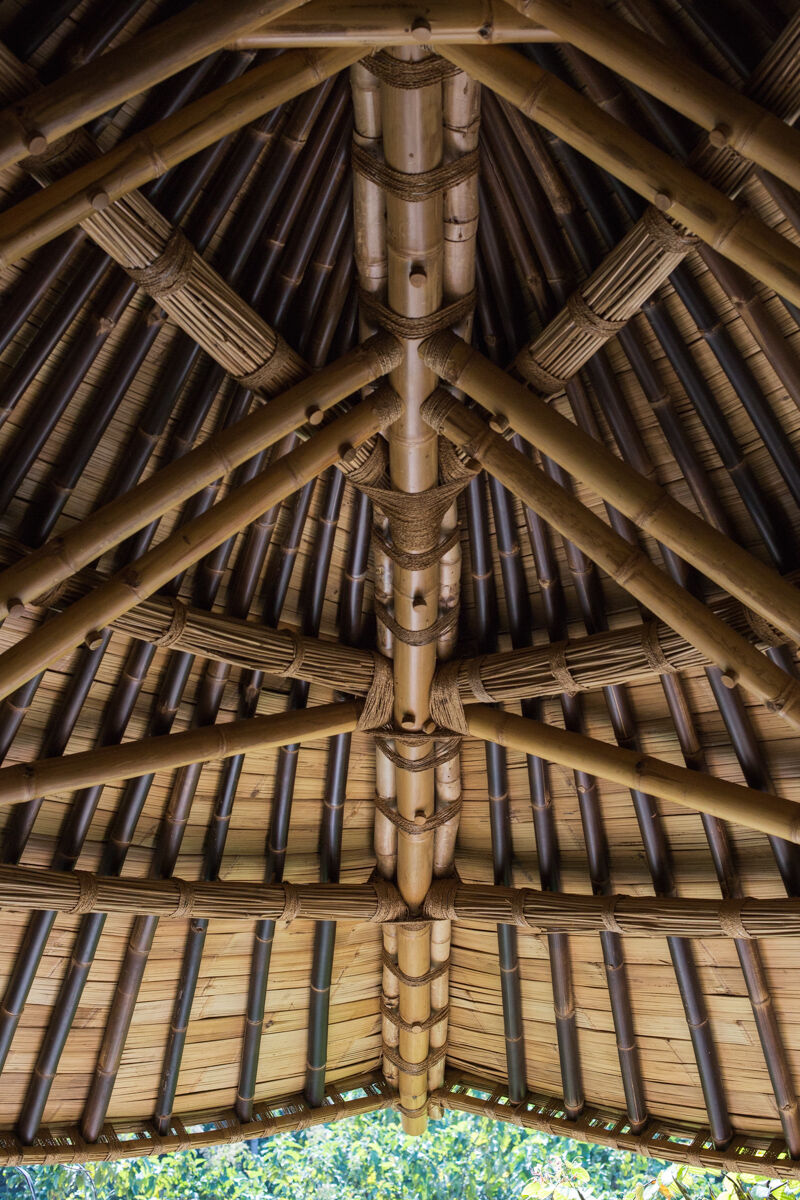 w_emerg's tweet photo. The Eclipse Main and Guest House in Bali, designed by Ibuku, showcases a stunning blend of rare black bamboo, modern design, and natural beauty, offering a unique, sustainable living space nestled among black palms.
#Bamboo #IbukuDesign #Sustainable #EclipseHouse #Black #Modern https://t.co/6ZbvcQzQtC