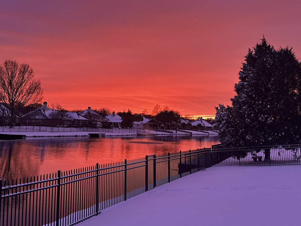 Cohen Parent tweet media