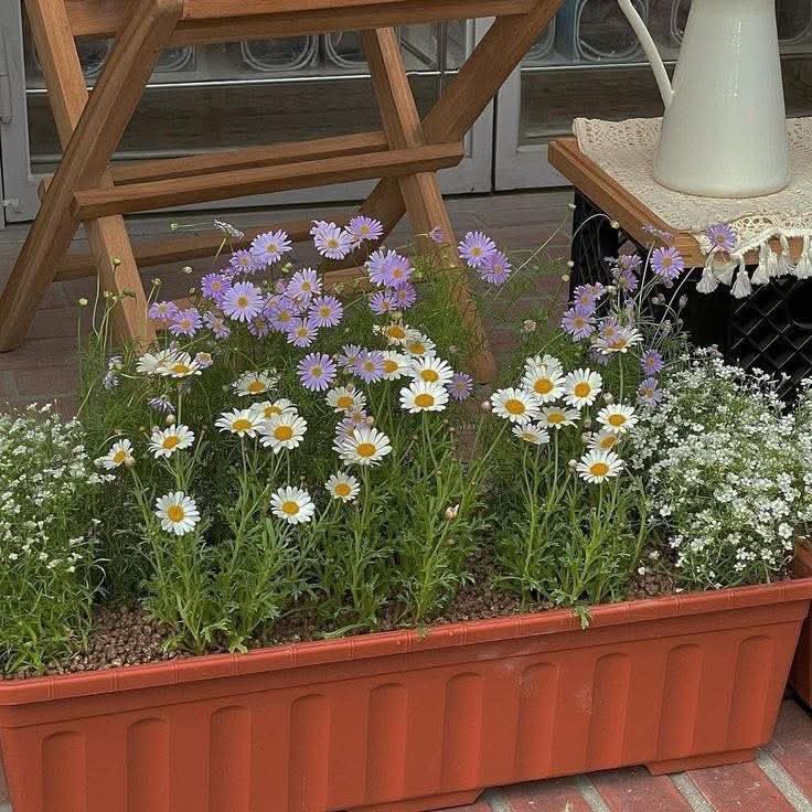 เราไม่จำเป็นต้องเข้าได้กับทุกสังคม หรือเป็นที่รักของทุกคน เพราะคุณค่าในตัวเรา ไม่ได้ขึ้นอยู่กับการยอมรับจากใคร.🌸🍃