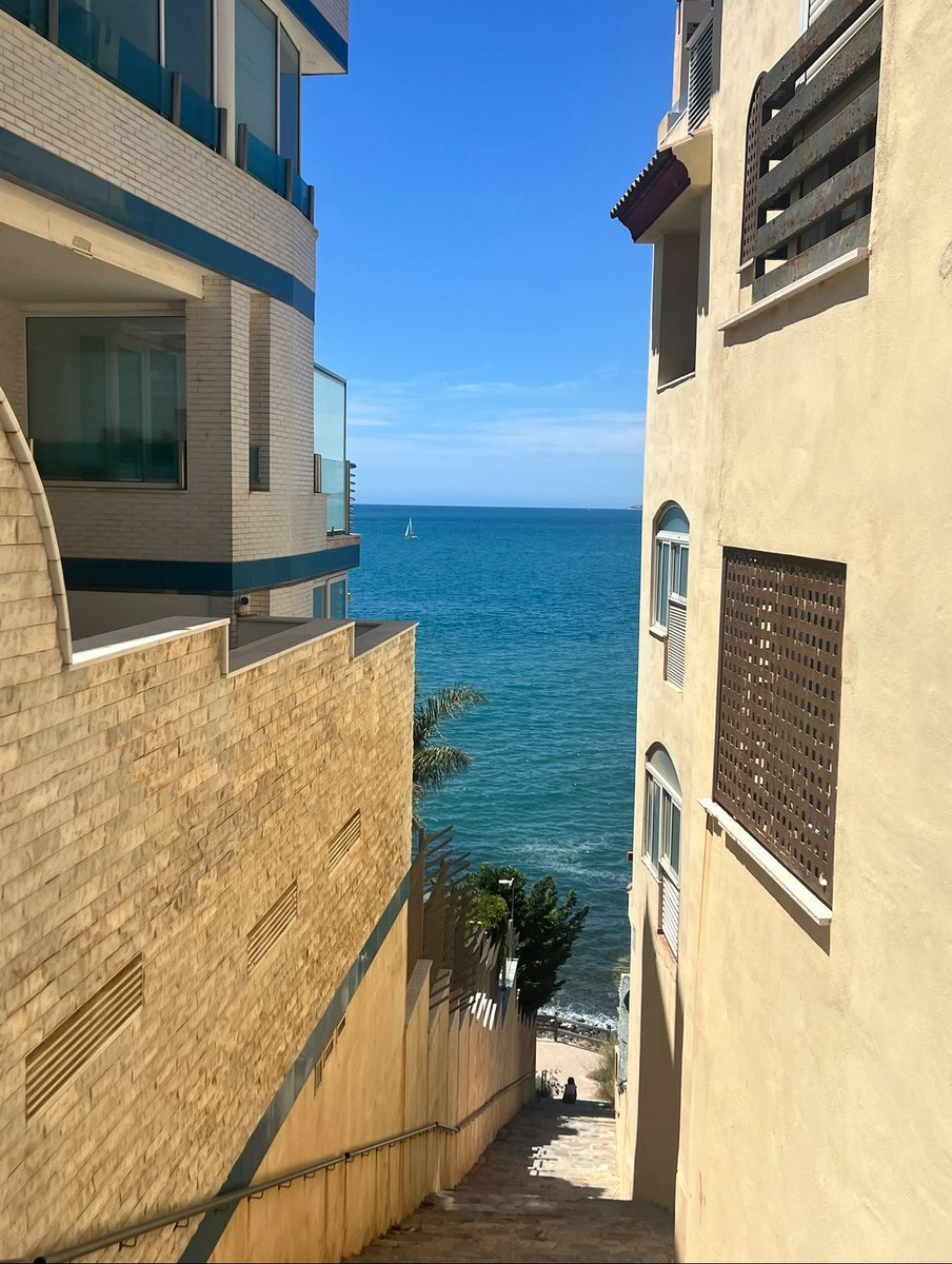 thepolardao's tweet photo. 1 $SOL = 1 week in Costa del Sol 🌞 https://t.co/o3HDwaPEWy
