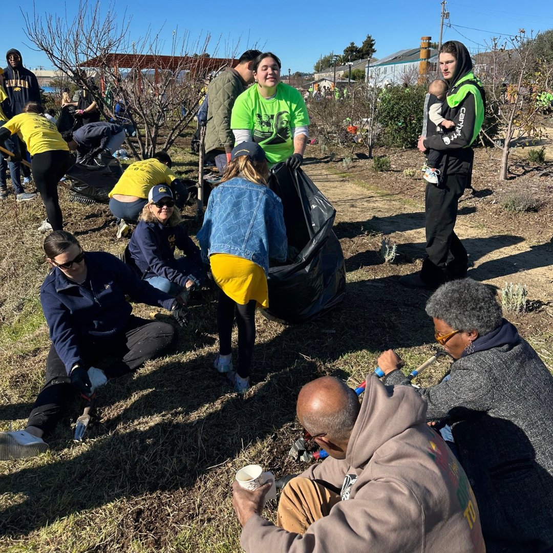 BerkeleyHaas's tweet photo. We love to see so many of you going beyond yourselves! Haas staff, students, faculty, and alumni spent the MLK National Day of Service event supporting Urban Tilth and the Richmond Greenway Trail! #berkeleyhaas #beyondyourself #MLKday https://t.co/dXNZtLngrE