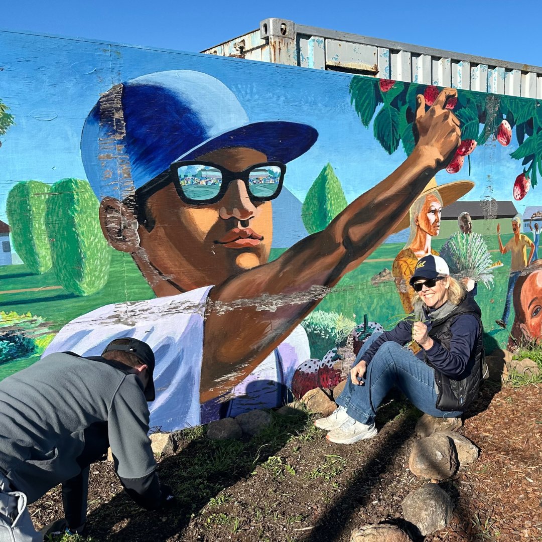 BerkeleyHaas's tweet photo. We love to see so many of you going beyond yourselves! Haas staff, students, faculty, and alumni spent the MLK National Day of Service event supporting Urban Tilth and the Richmond Greenway Trail! #berkeleyhaas #beyondyourself #MLKday https://t.co/dXNZtLngrE