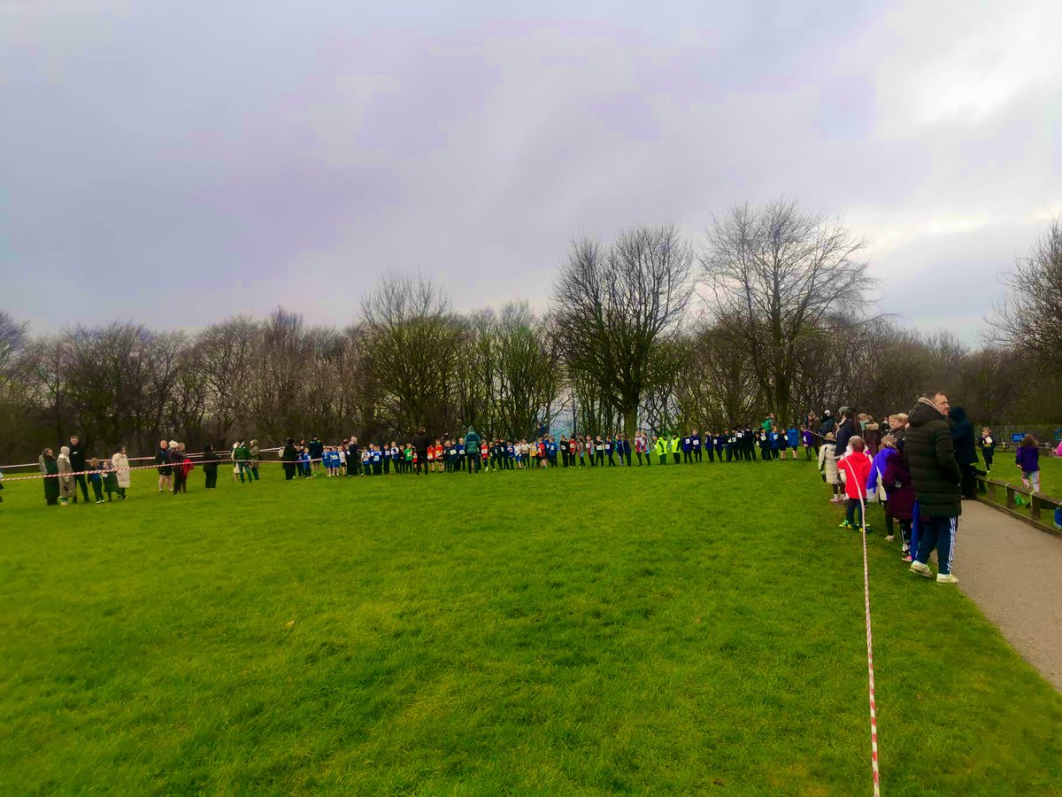 Bankfoot Primary School tweet media