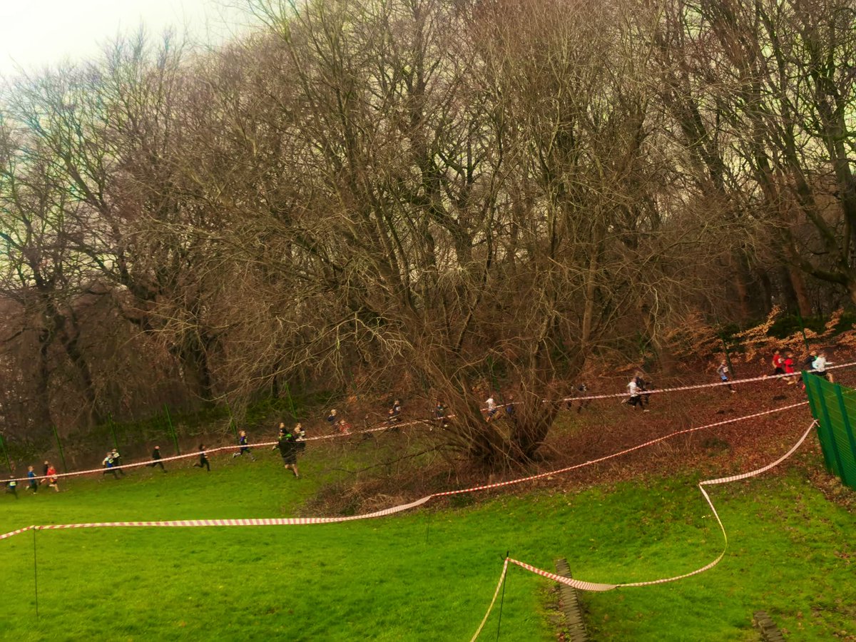 Bankfoot Primary School tweet media