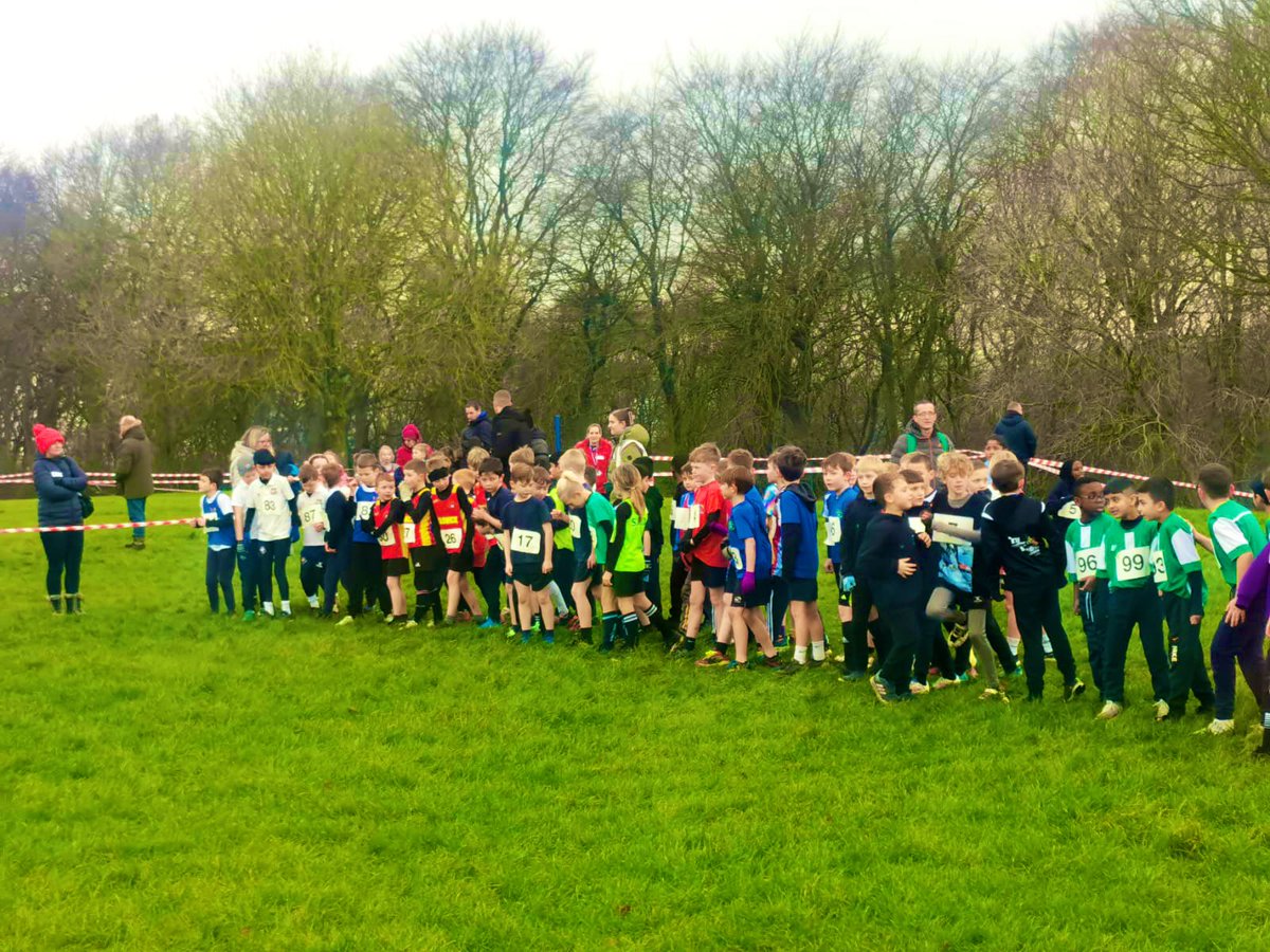 Bankfoot Primary School tweet media