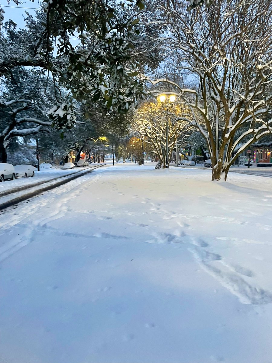 &Y L&S (AML) tweet media