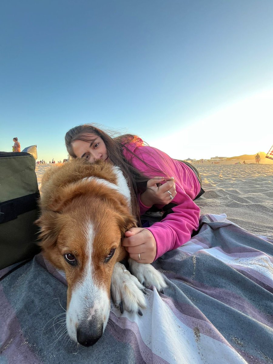 Maruziv's tweet photo. La descripción de felicidad y amor en 4 fotos ✨️🌅🐕💖 https://t.co/ion87fnb9S