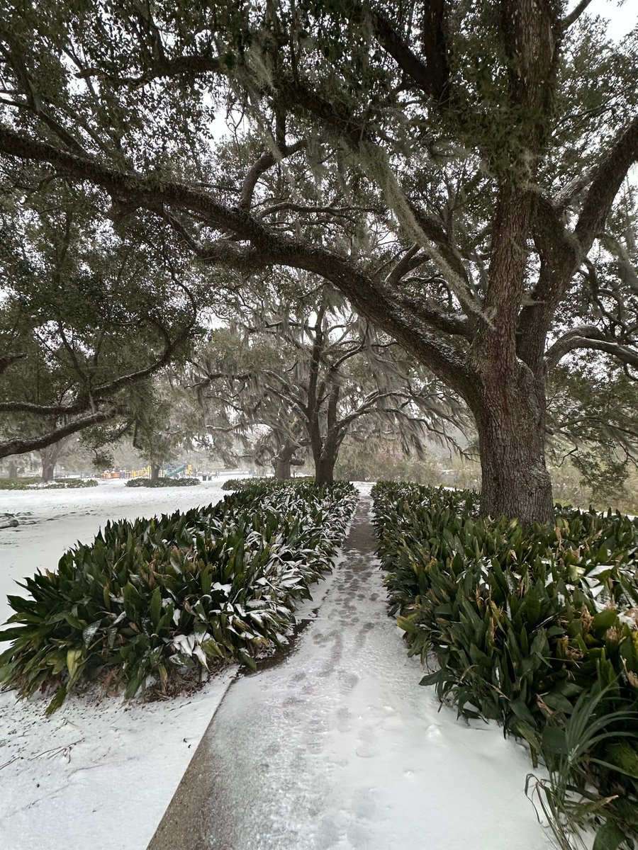 SBowlBreakfast's tweet photo. 🌨️ Historic Snow in New Orleans ⚜️

9.5 inches of snow in New Orleans! As the rare snow falls on New Orleans, we’re reminded that this city is no stranger to making history—and the same can be said for the incredible Cameron Jordan of the New Orleans Saints! https://t.co/TMcwDpcrCZ