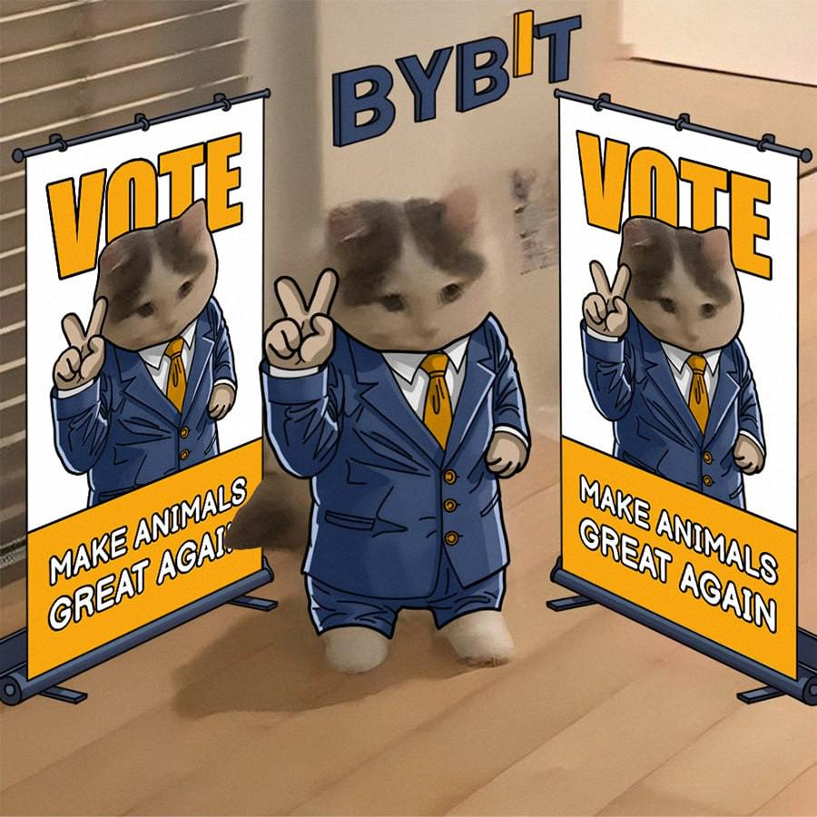 michionsolana's tweet photo. vote for $michi perps now on @Bybit_Official! https://t.co/pErNBTKciM