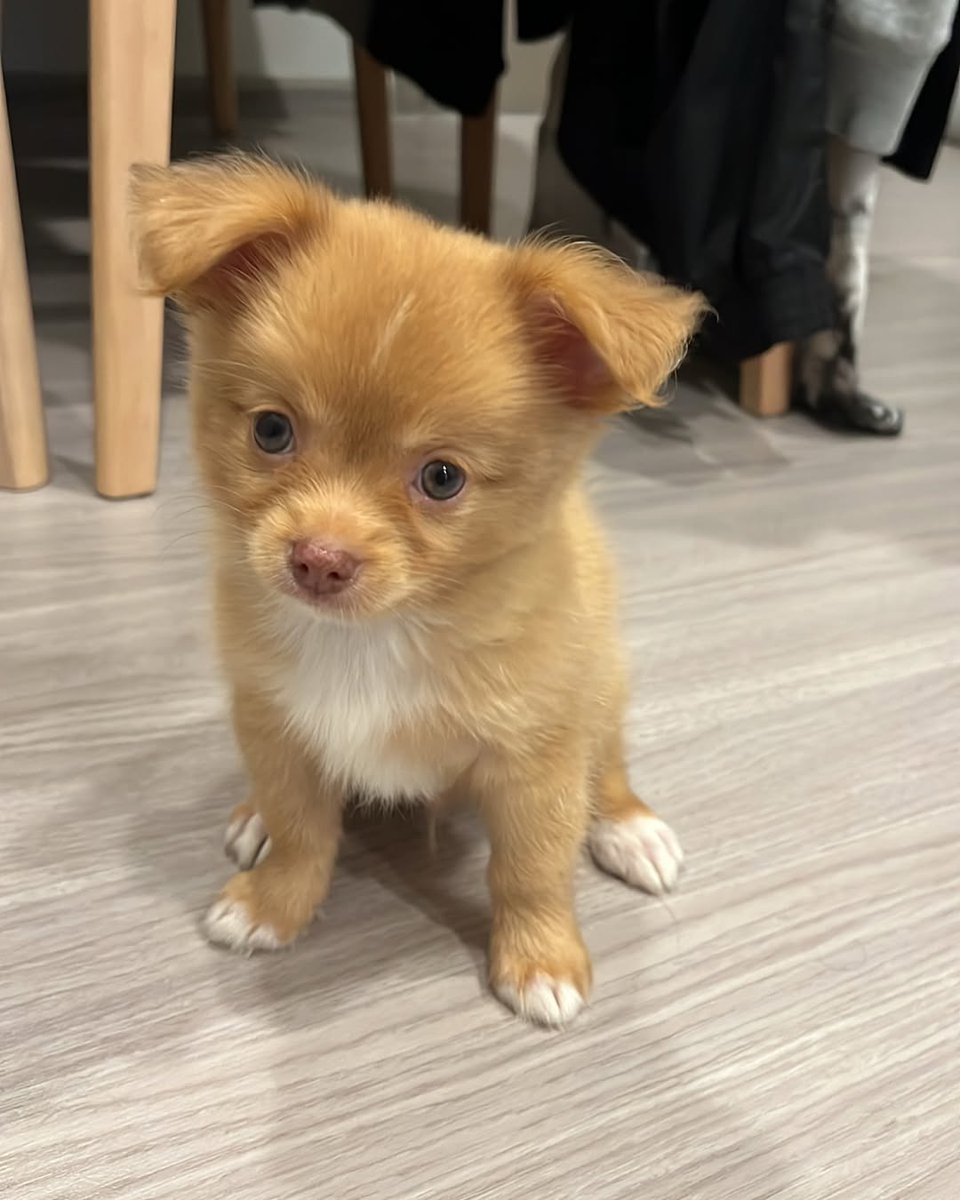 คิมอาร์ลิซ tweet media