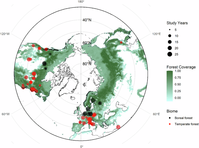 CommsEarth's tweet photo. 21 January 2025; doi:10.1038/s43247-025-02008-7Carbon dioxide uptake in old northern forests increases more in warmer springs and decreases less during warm summers and autumns compared with younger forests, according to an analysis of forest carbon… https://t.co/b4WoEvUgyD https://t.co/xegFTK35zm