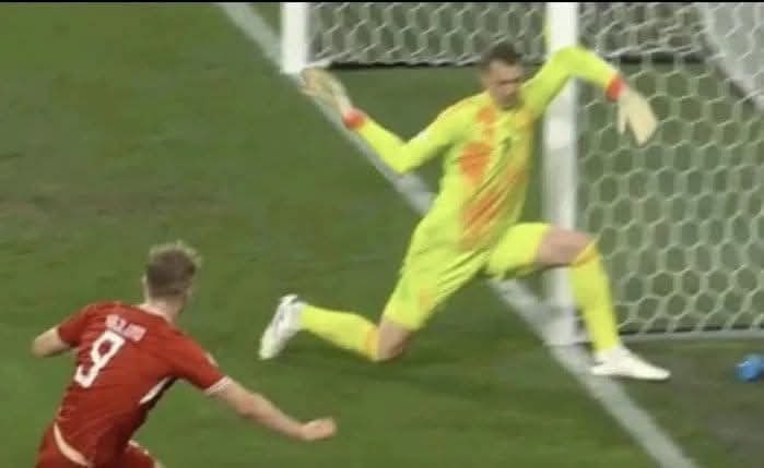 Ok but what did 🇩🇪 goalie mean by this?