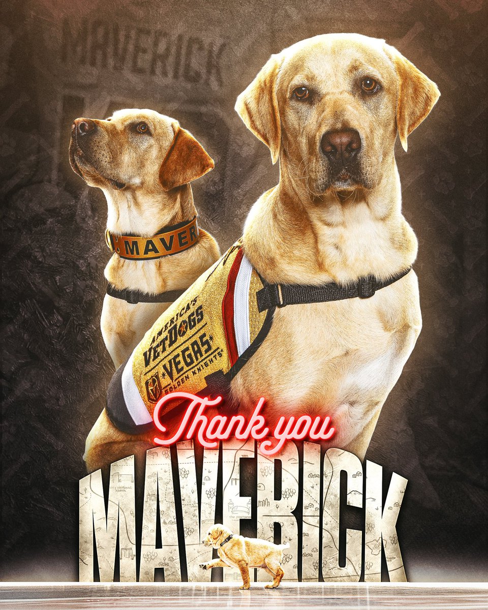 Vegas Golden Knights tweet media