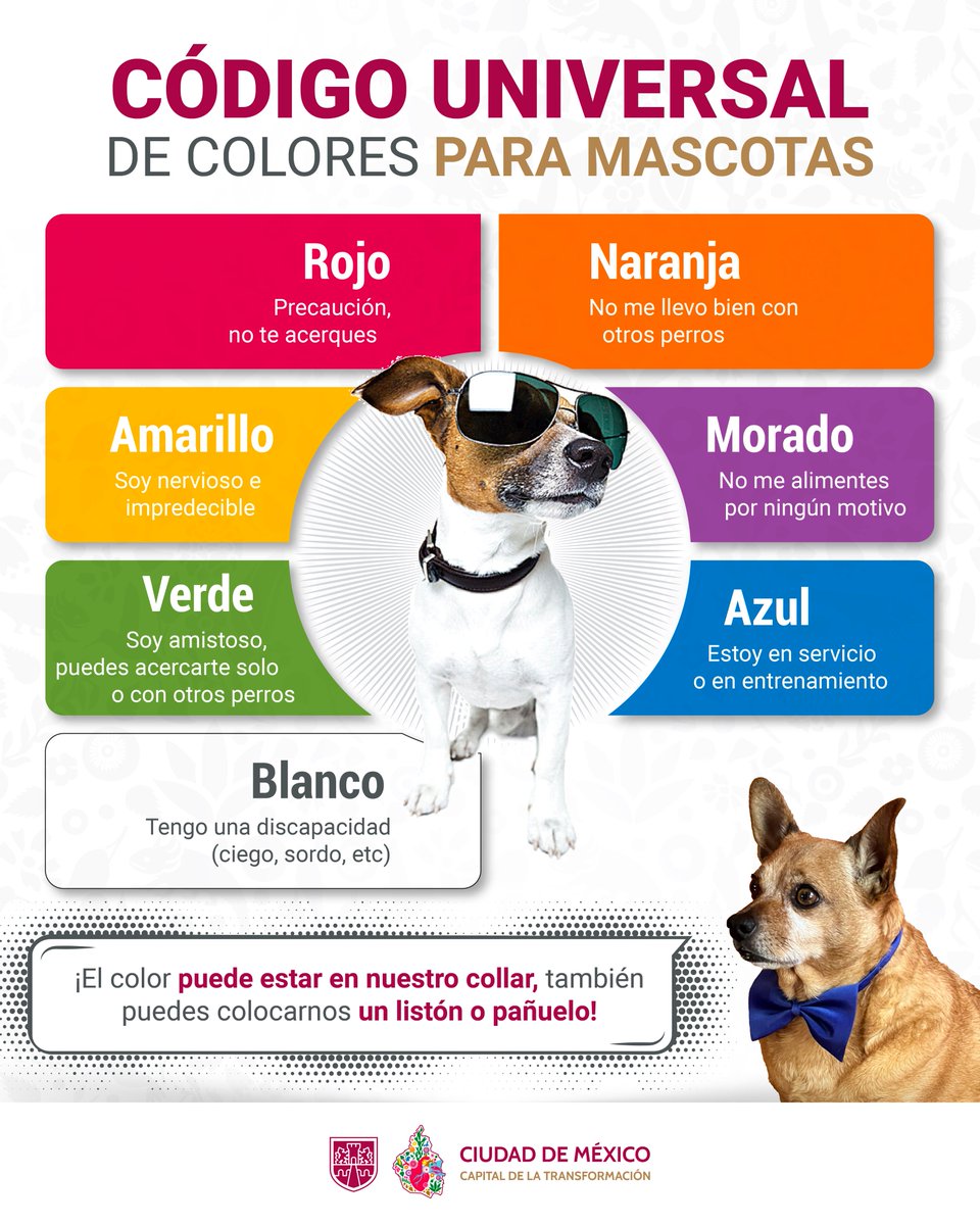 Gobierno de la Ciudad de México tweet media