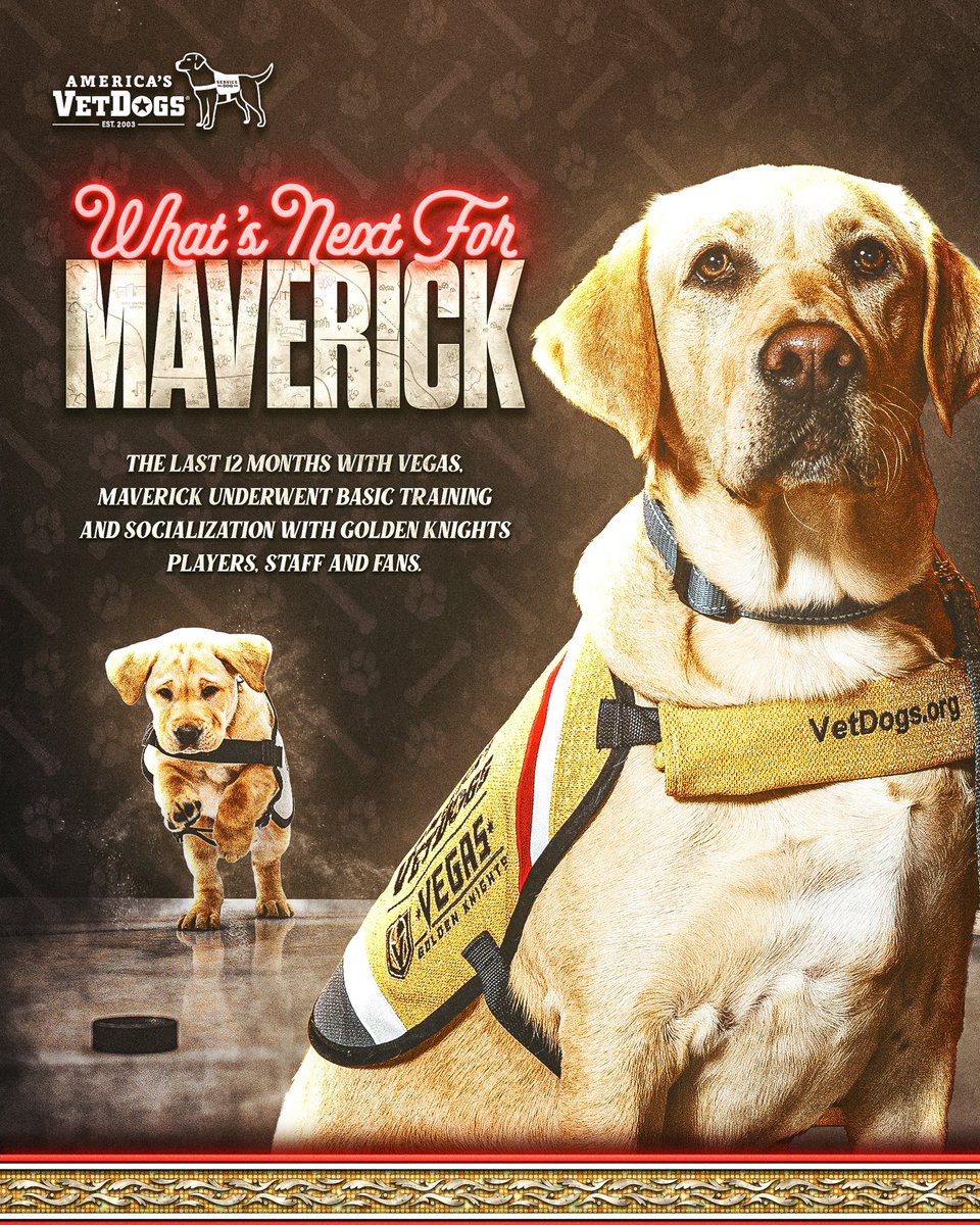 GoldenKnights's tweet photo. We’re so proud of the work Maverick did as our official team dog! We’re excited to follow along as Maverick follows his dream to becoming a service dog 🦮💛

#VegasBorn | #VGKPup https://t.co/b4GyhEv7qa