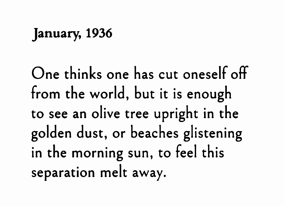 ― Albert Camus, Notebooks 1935-1942
