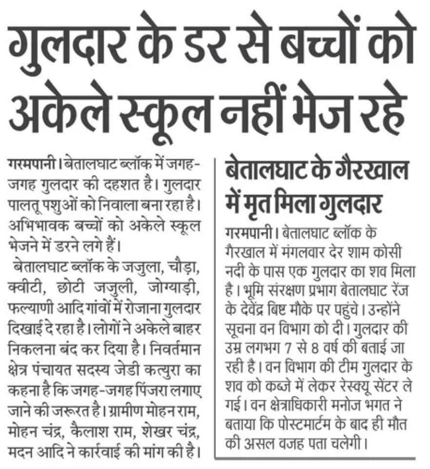 Mohit S Bisht💎 tweet media
