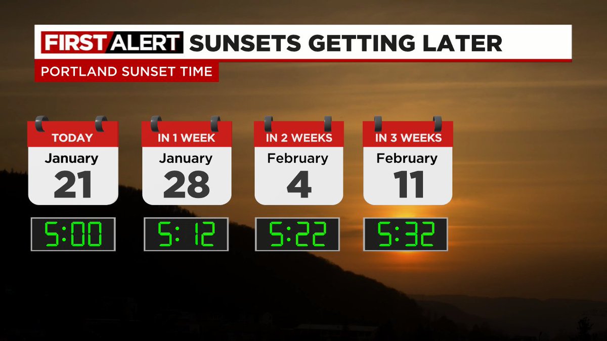 Mark Nelsen tweet media