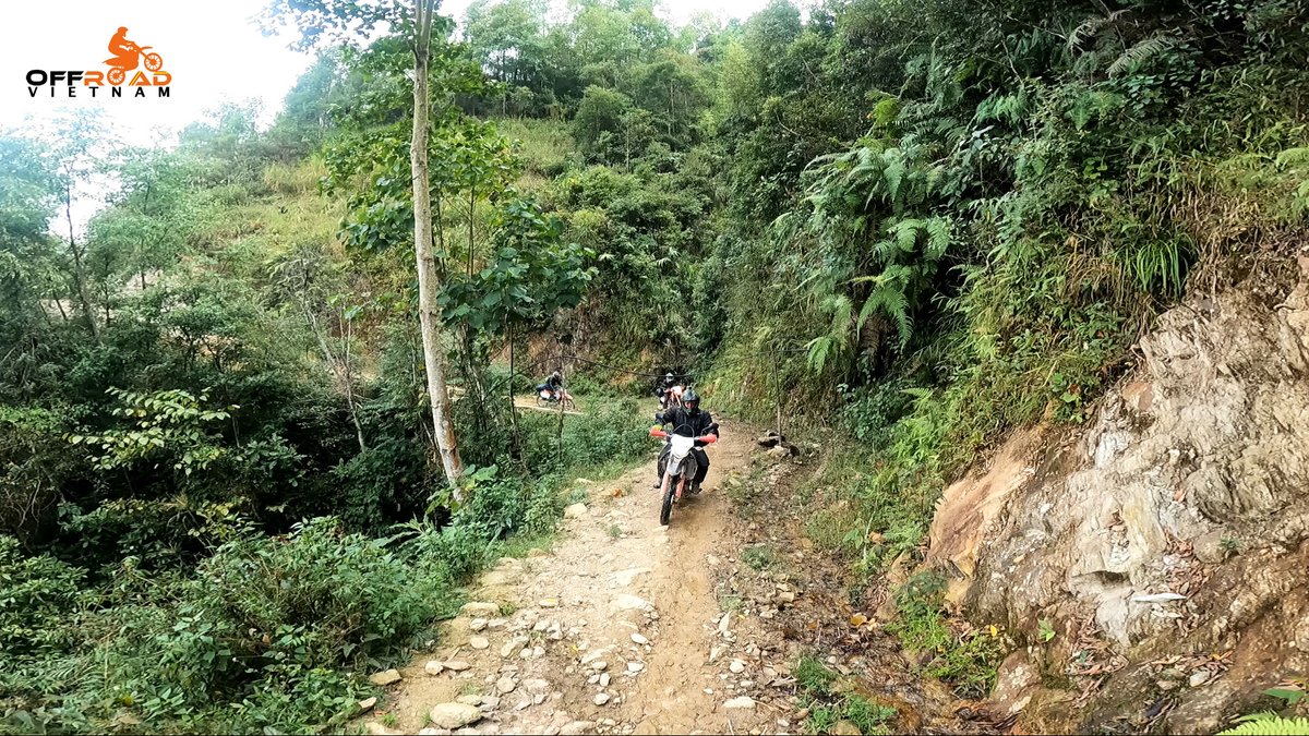 vietnambikers1's tweet photo. For motorcyclists, these roads symbolize freedom and a return to simplicity. ποΈ
π₯οΈ https://t.co/ZdsdJy0uqV
#areturntosimplicity #bumpycountryroads #trueadventurers #vietnam #xuhuong2025 #trending2025 #motorbike #motorcycle #tour #rental #honda #XR150L #CRF250L #CRF300L #enduro https://t.co/Iomf34k4Pw