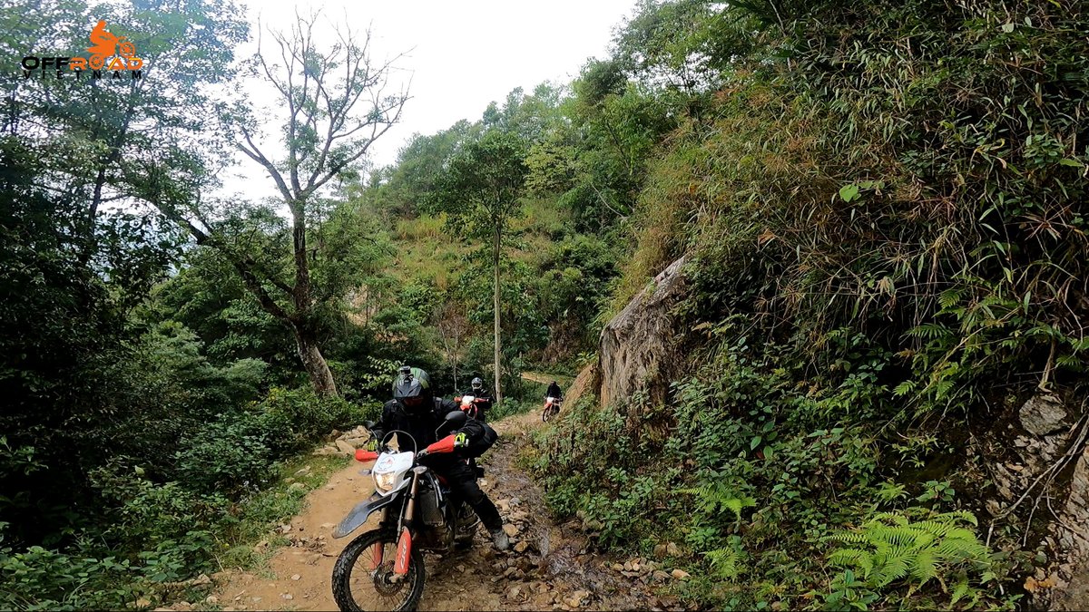 vietnambikers1's tweet photo. For motorcyclists, these roads symbolize freedom and a return to simplicity. ποΈ
π₯οΈ https://t.co/ZdsdJy0uqV
#areturntosimplicity #bumpycountryroads #trueadventurers #vietnam #xuhuong2025 #trending2025 #motorbike #motorcycle #tour #rental #honda #XR150L #CRF250L #CRF300L #enduro https://t.co/Iomf34k4Pw