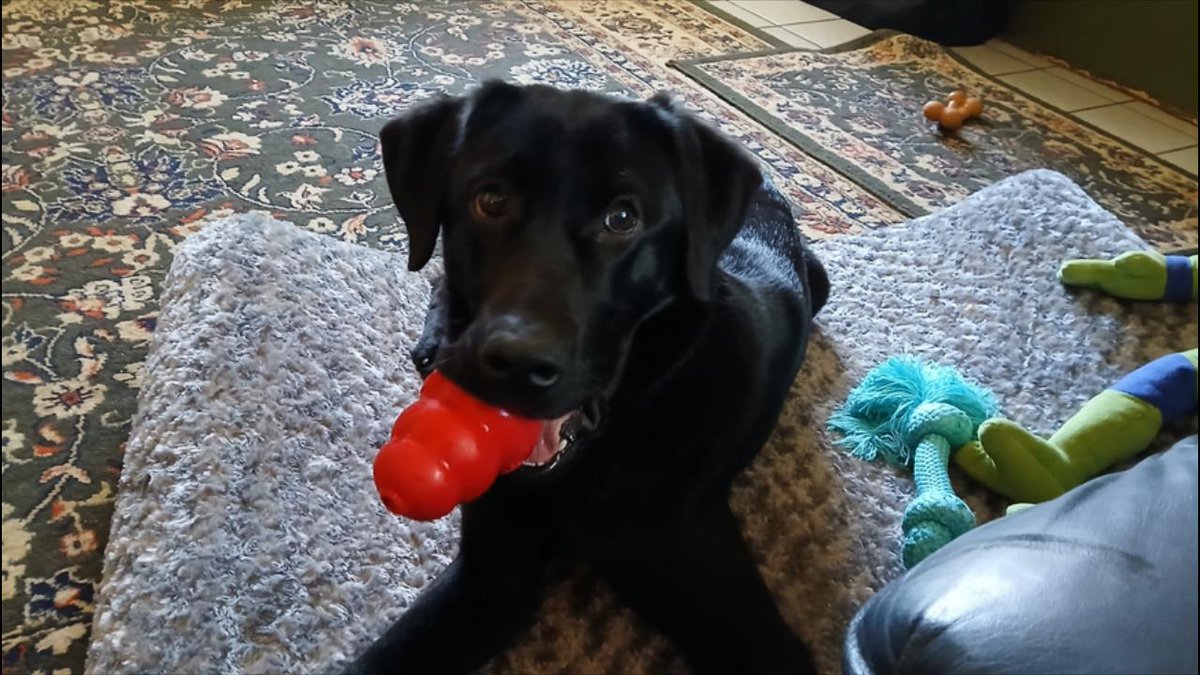 Paul GLock tweet media