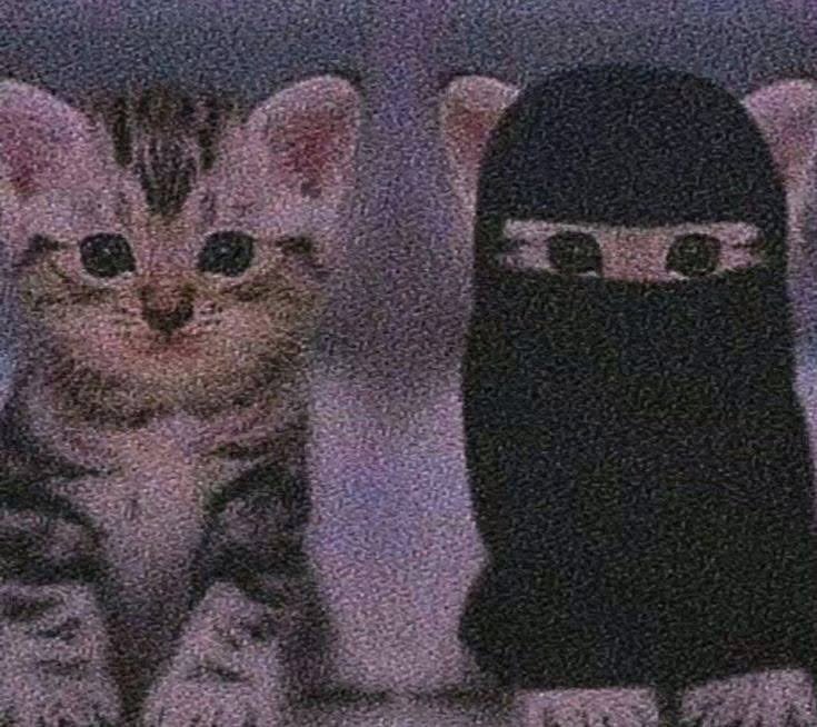 RainFathima's tweet photo. Ibn Kathīr رَحِمَهُ ٱللَّٰهُ said: 

“There is no greater friendship between two souls than that between a married couple.”

[Tafsir Ibn Kathir | 3/528] https://t.co/pH5TzNxQ9W