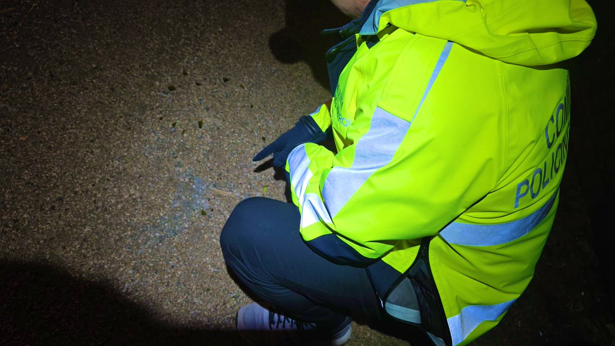 CollingwoodcpcC's tweet photo. 1/2
Tue. Jan. 21st
@CollingwoodCPC dispatched our
#MountPleasant #Team to our
#MountPleasant #PatrolBase CPC to check
#MountPleasant
#Community
& Beyond.
Itβs a cold & dark night but our members Alex,Jay,
Sagan,Justin & Devin
were dealing w/ issues & a High Visibility Presence. https://t.co/zbHPOQZIVm