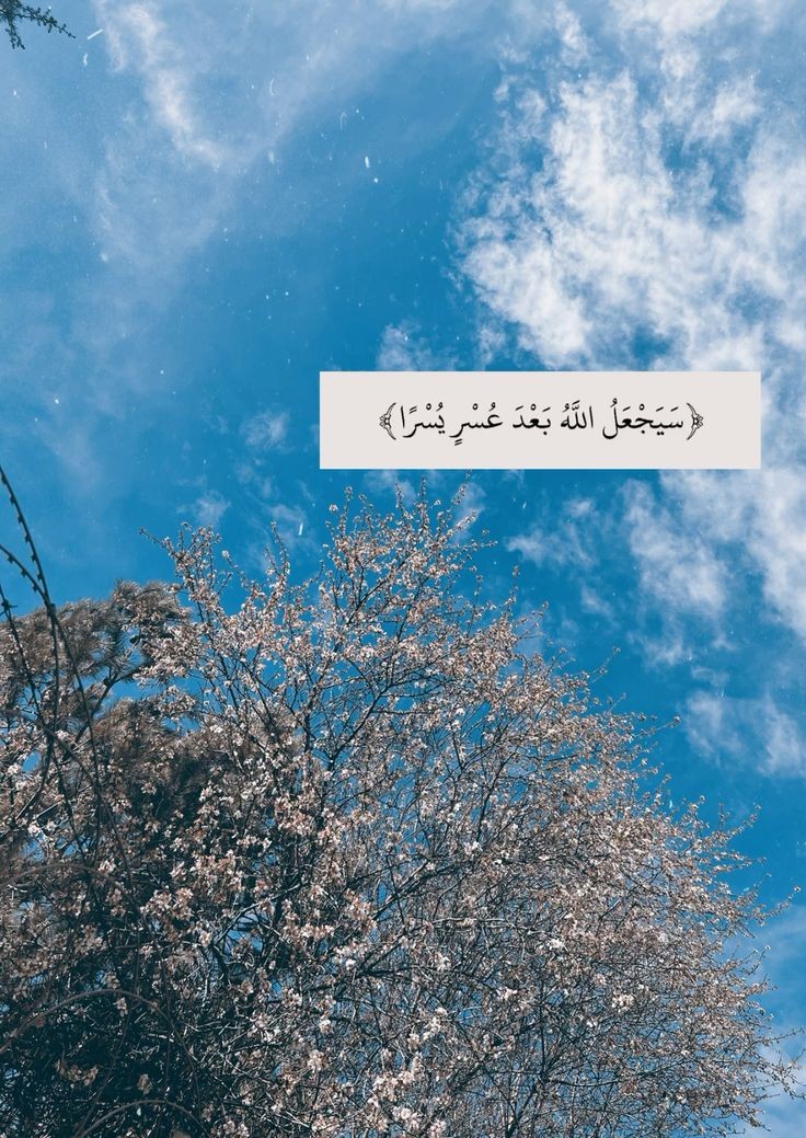 motm2na_'s tweet photo. رِسالة لكَ🤍.. https://t.co/in0Is0N7QB
