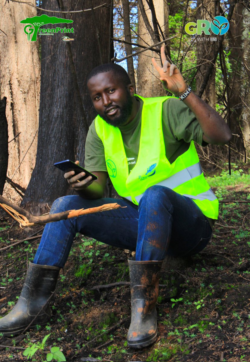 No Shade, No Shelter: Life Without Trees 🌳

Trees offer more than beauty—they provide shade from the sun and shelter from the rain. Without them, there’s no refuge from scorching heat or harsh weather.
#climateguardians
#growithus
#itbeginswithyou #WorldWithoutTrees