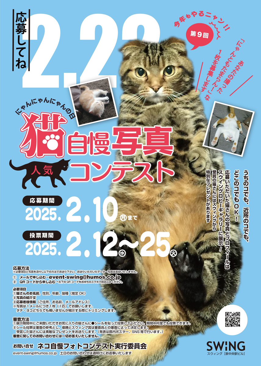 今年もはじまります。

#スウィング　#泉中央駅ビルスウィング　#猫自慢写真コンテスト　#ニャンニャンニャンの日