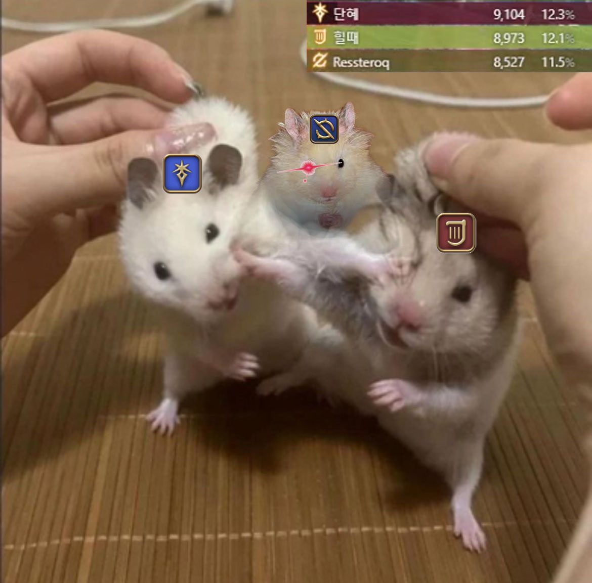 92 (@ku9hi) on Twitter photo 