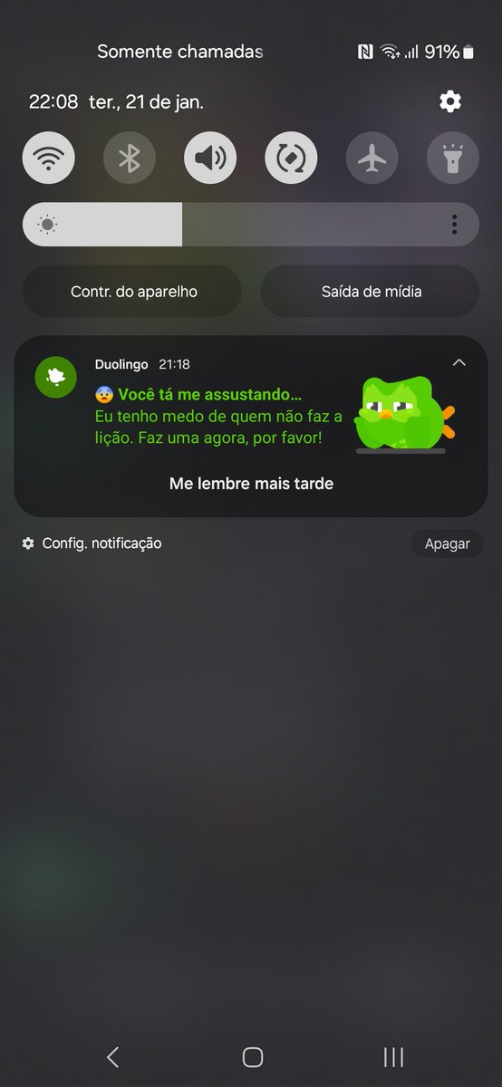 6317Davigamer's tweet image. 😨 @DuolingoBrasil