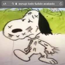 karol tweet media