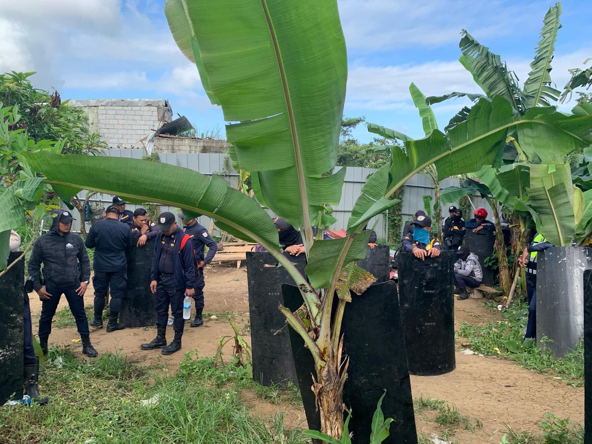 Katipunan ng mga Samahang Magbubukid sa TK tweet media