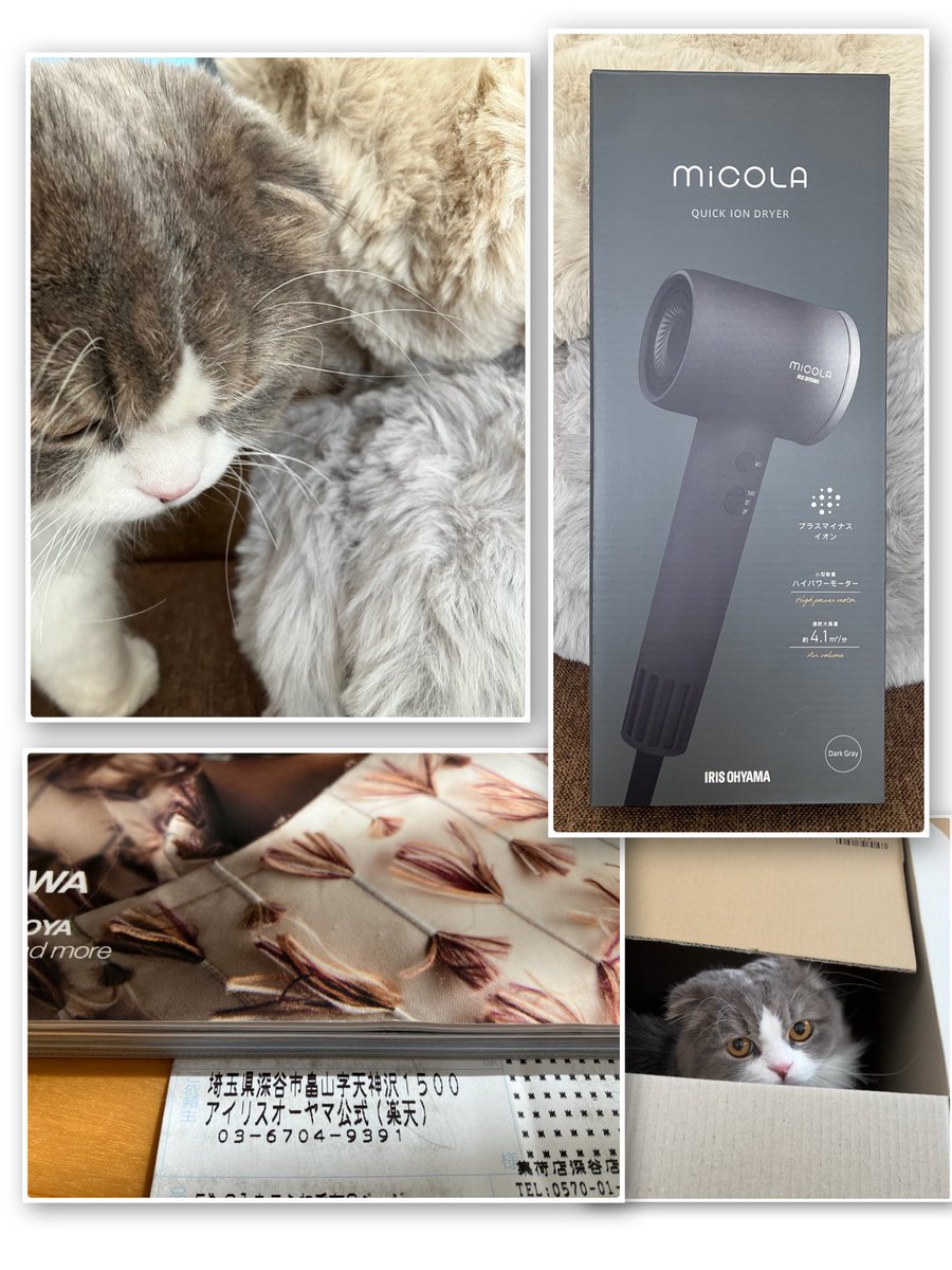 chipipokun's tweet photo. 怪しい音のし始めたドライヤーを新調✨一緒に来年買い替えかな?と思っていた毛布もアイリスサイトを見ていたら気になりお迎え✨✨3🐈⬛揃ってフッカフカな毛並み😌
楽しい箱も深谷からの発送品とあれば嬉しさ倍増🎩✨
#アイリスオーヤマ
#フワモコ毛布
#miCOLA https://t.co/33KNTaR1TB
