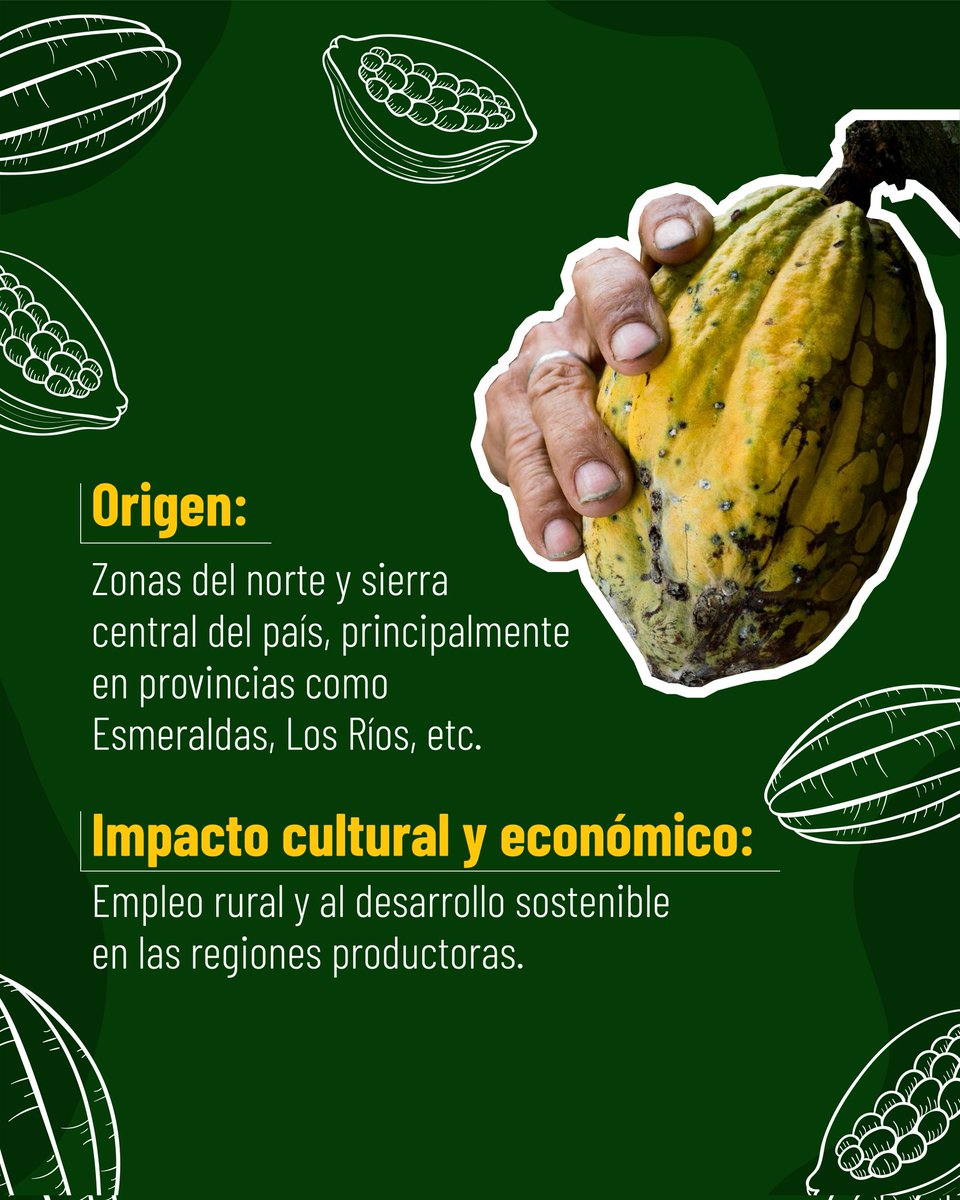 SENADI_Ecuador's tweet photo. 📍 Aquí te iremos contando uno a uno cuáles son y hoy empezaremos con la pepa de oro, el Cacao Arriba, una de las variedades únicas en el mundo 🌎 por su fino aroma, el cual obtuvo la primera denominación en Ecuador.
#ElNuevoEcuador
#SignosDistintivos https://t.co/wMMVtU1stV