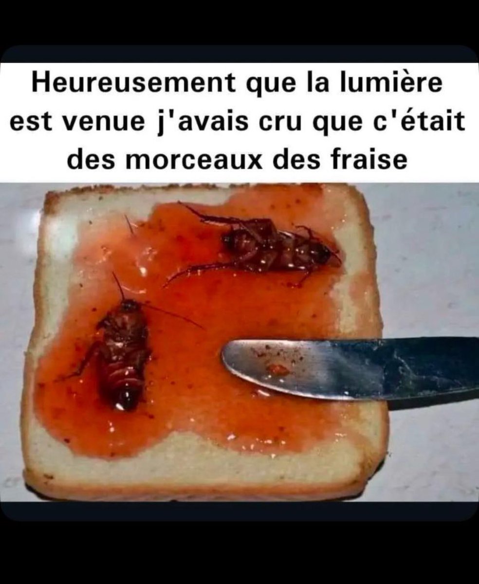 Seigneur Dieu merci pour la lumière 🤧