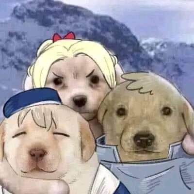 tanijrou's tweet photo. two of them … oh no … oh my god there is three of them https://t.co/7CxwPaYbkg
