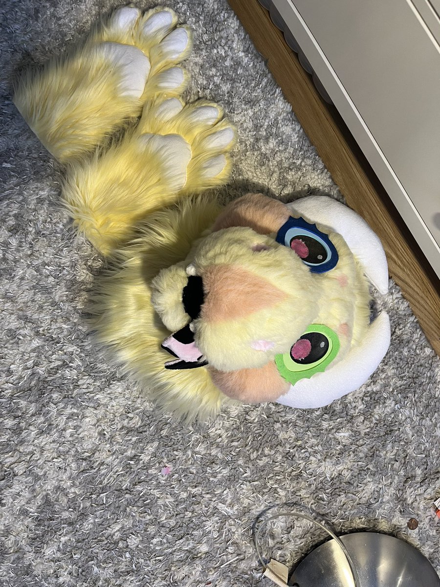 AccCheddar's tweet photo. Fursuit for trade

I’m trading this fluffy dragon fursuit! 
Made on a nuke creations base. 

All info in the last image, and more photos in replies! 

I’ve done numerous prior trades that I can provide screenshot evidence of <3 https://t.co/W3i8SpMW2O
