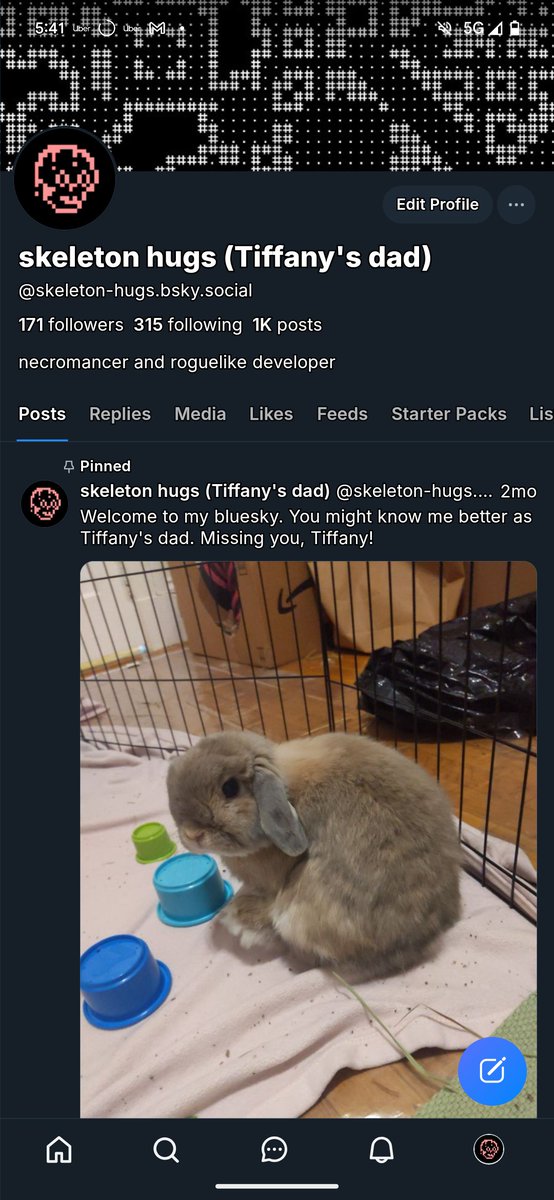 Bunny people! Connect with me on the other app! 

I don't think I'm going to delete this account just yet, but I'm going to use it less and less