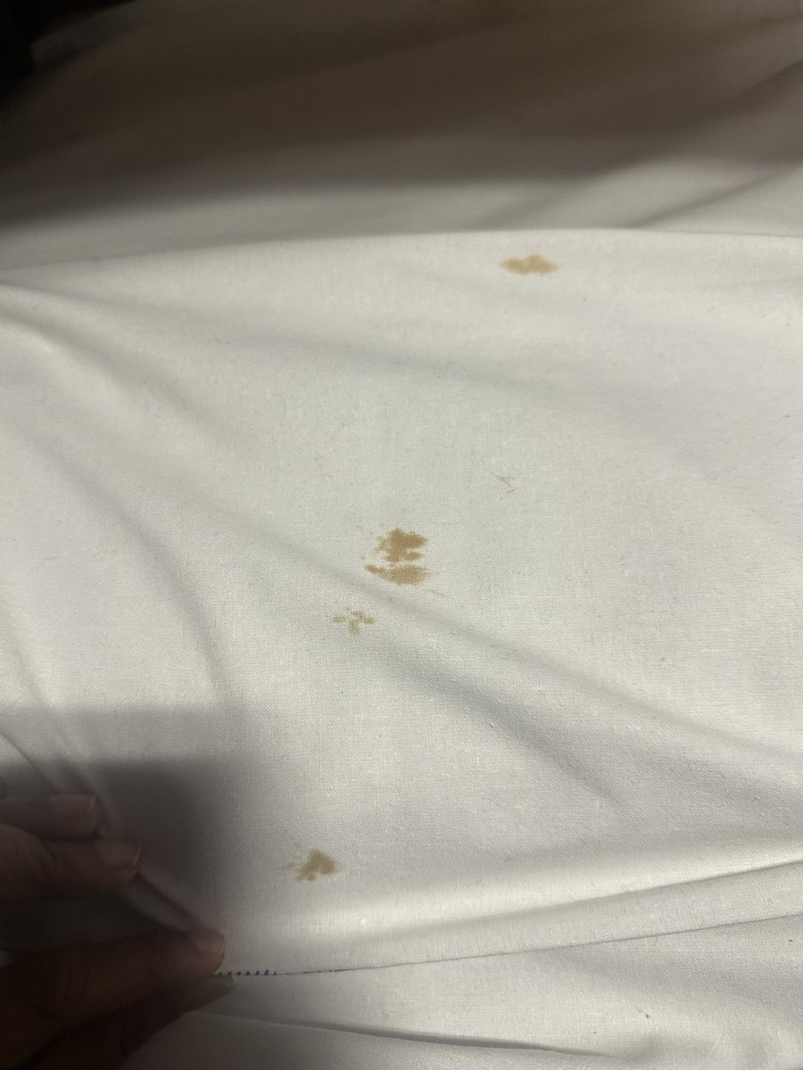 Aditya Rane tweet media