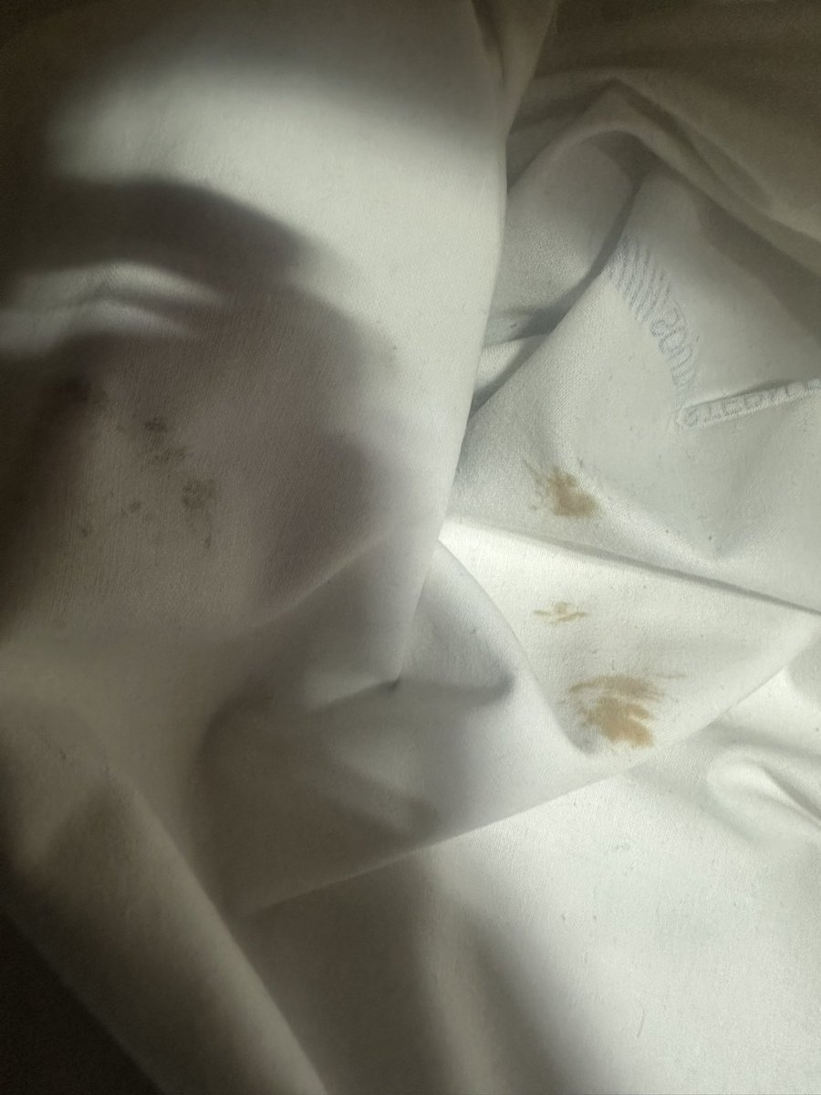 Aditya Rane tweet media