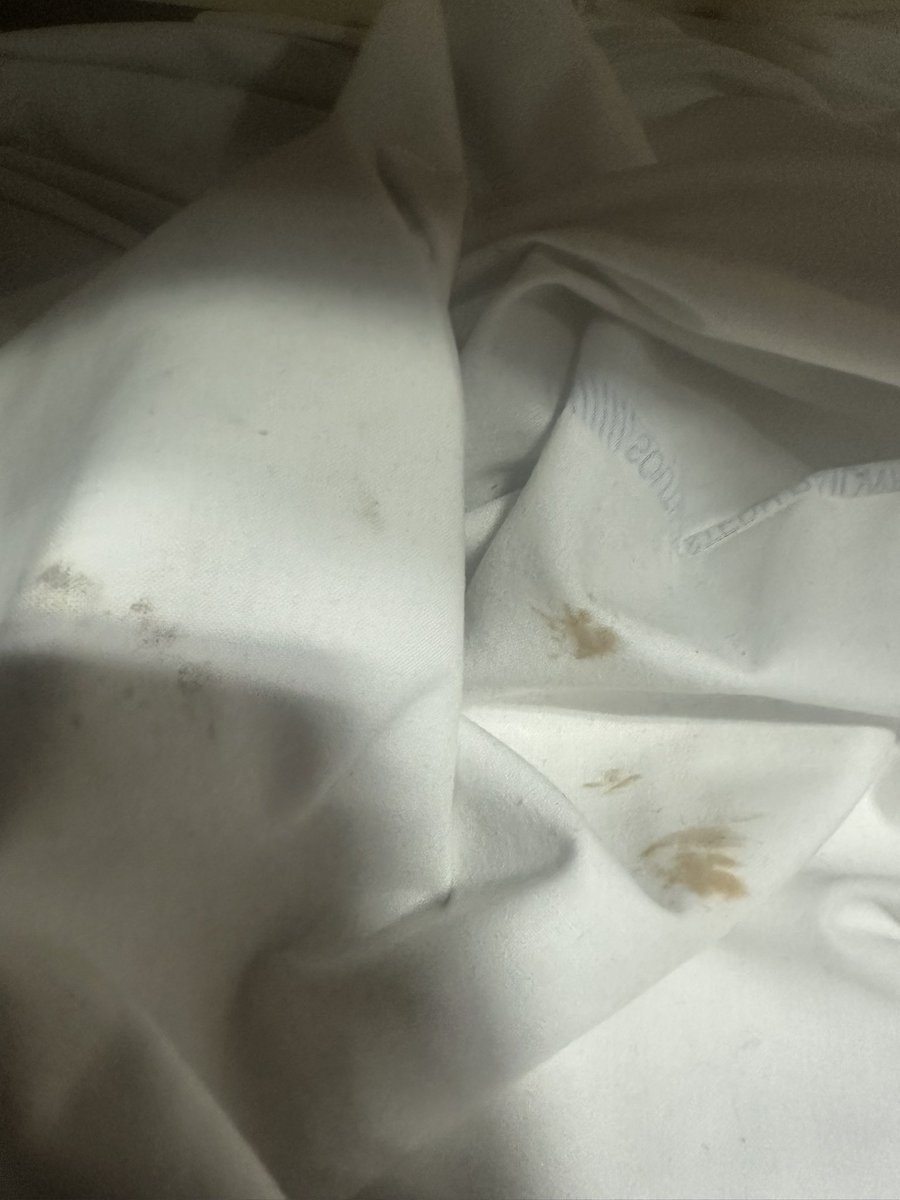 Aditya Rane tweet media